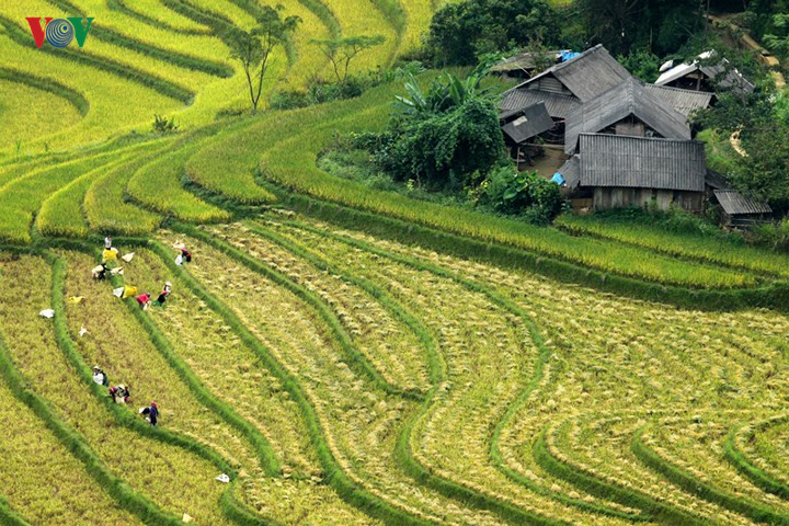   Due to difficult terrain, most of the area’s agricultural land can only support one crop per year.