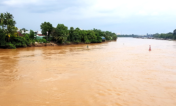 Khởi động dự án kè bờ sông Cái