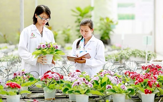 More incentives for investment in agricultural and rural areas