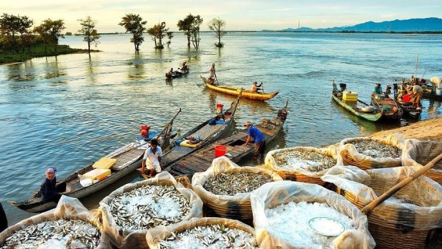 Mekong Delta in "floating season": A real travel experience