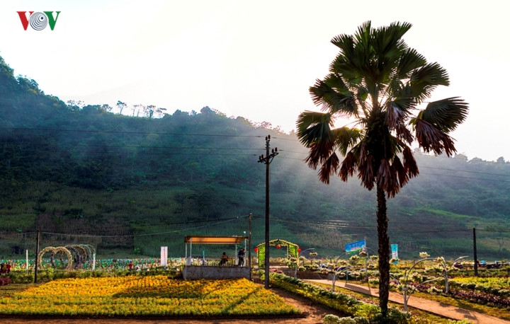   The picturesque Khai Trung green plateau lures visitors with its fresh air and lush scenery.