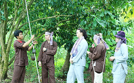 Vam Xang fruit garden in Can Tho