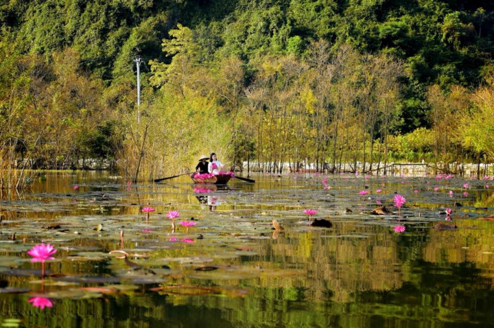 Top check-in points in Hanoi during November