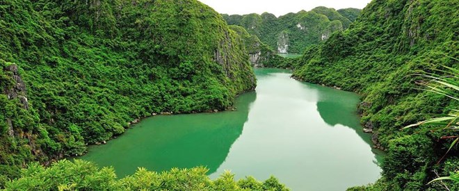 A view of Cat Ba Biosphere Reserve. (Photo: VTC)
