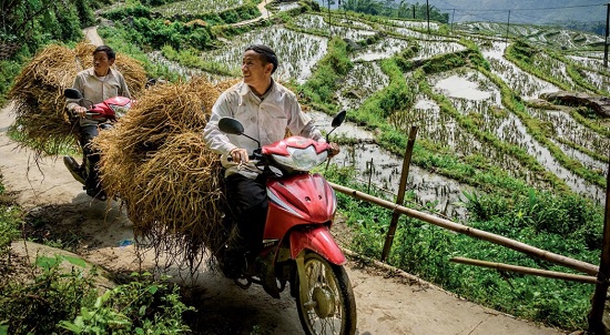Hoang Lien Son among National Geographic's list of most exciting destinations