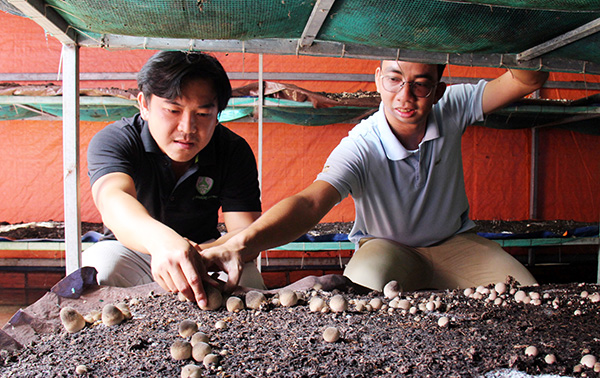 Nguyễn Trương Kiến Khương (bìa trái) và Nguyễn Hữu Văn kiểm tra trại nấm của Hợp tác xã dịch vụ nông nghiệp Vinh Phúc (huyện Vĩnh Cửu).