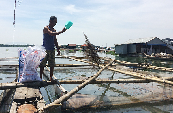 Ông Nguyễn Văn Dương (xã Hiệp Hòa, TP.Biên Hòa) đang hy vọng một vụ cá tết suôn sẻ để ngư dân có lãi đón xuân vui vẻ.