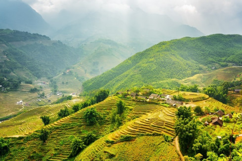 Rice terraces in Sa Pa Town in the northwest province of Lao Cai. Photo by Shutterstock/Efired