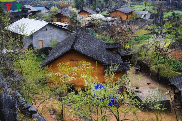   A scenic view of the picturesque villages among white plum blossoms