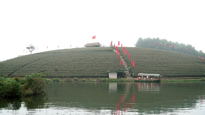Tourists can only access the tea hills in Thanh Chuong by boat