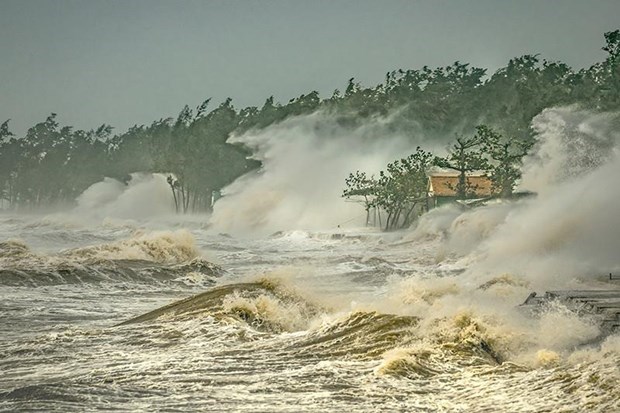 Vietnam wins first prize at int'l photo contest on weather, climate