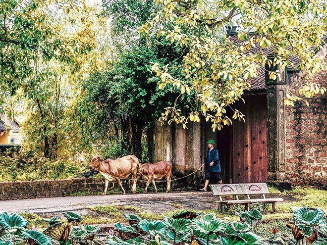 Photo exhibition celebrates International Women' Day
