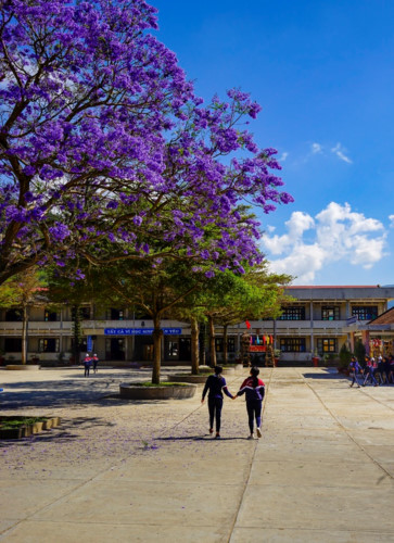 The view of a school on the outskirts of Da Lat city, in Don Duong town.