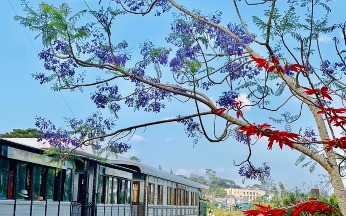 Visiting Da Lat in springtime