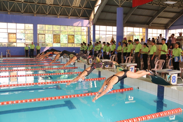 Dong Nai wins gold medal at national swimming-diving champs