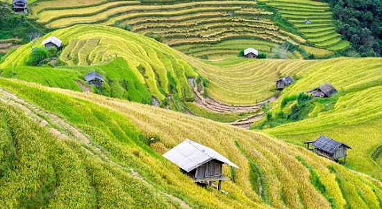 Sapa, Lao Cai province.