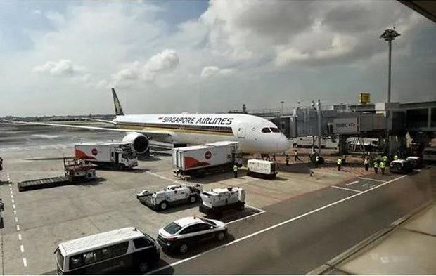 Một chiếc Boeing 787-10 Dreamliner của Singapore Airlines đậu tại sân bay Changi. (Nguồn: AFP)