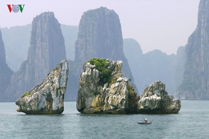   Home to thousands of small islands, Ha Long Bay in Quang Ninh province is an attractive destination for both local and international visitors. It is officially recognized as a World Heritage Site by UNESCO
