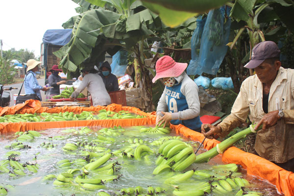 Làm đúng sản phẩm thị trường cần