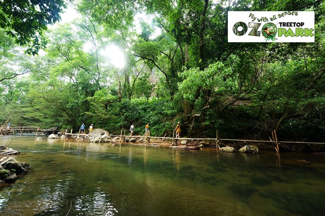 Ozo Treetop Park – new tourism product of Quang Binh