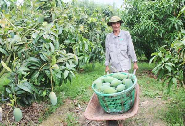 Hết thời... dễ tính