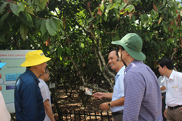 Dong Nai completes building new rural areas