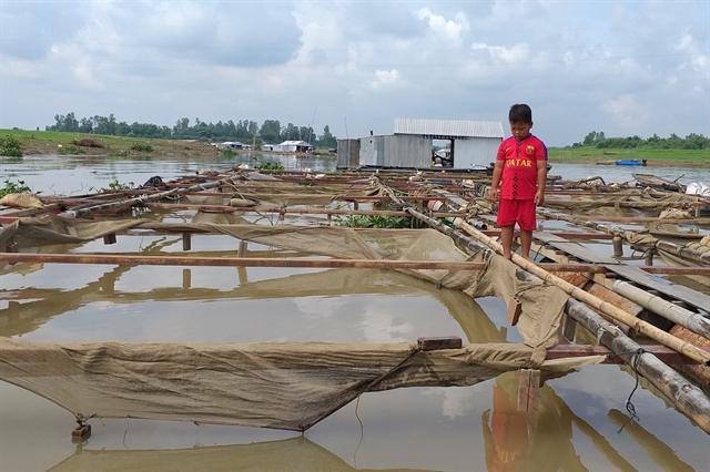 Prolonged rain and waste caused mass fish death on La Nga River: official