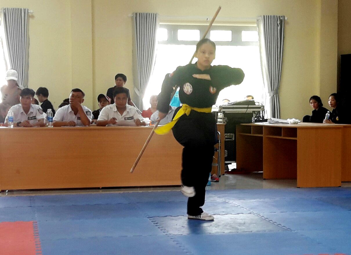 Bien Hoa Junior and Youth Traditional Martial Arts Tournament held
