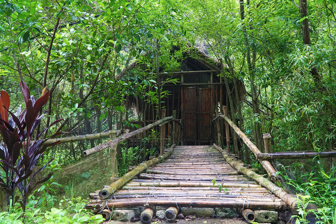 Bamboo bungalows in Ninh Binh prove a hit among visitors