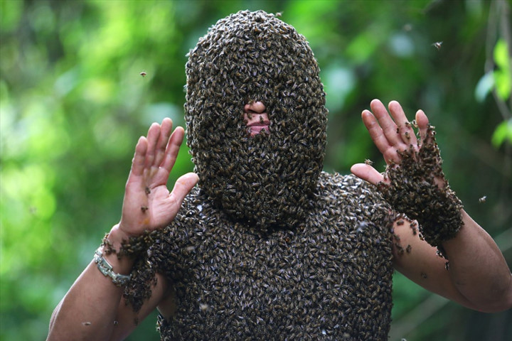   Bui Duy Nhat, 43, from Na Sang 1 hamlet of Nua Ngam commune in Dien Bien province, is one of the few people in Vietnam to have successfully tamed forest bees.