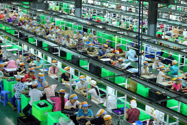 Female workers at a factory in the northern province of Hai Duong in 2014.