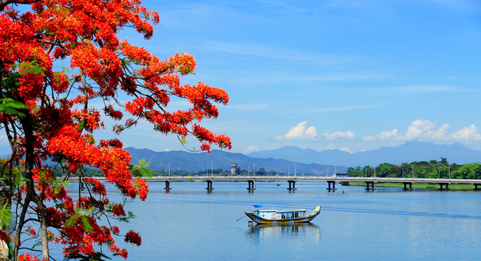 Flamboyant flowers can be seen in full bloom along the Huong river.