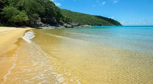 Forbes lists most beautiful beach destinations in Vietnam