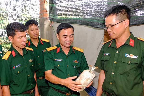 Trồng nấm cải thiện bữa ăn cho bộ đội
