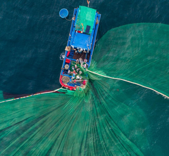 The fishing nets in action create both colourful and natural shapes