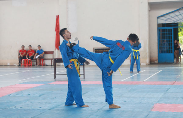 Over 250 athletes compete at Dong Nai Vovinam Tournament