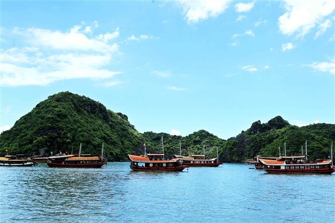 Cat Ba island - A pearl of northern Vietnam