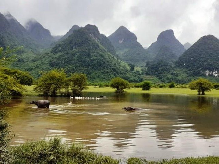 A view of Bai Tinh grassland