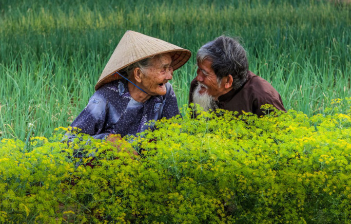   The Top 50 was chosen from 15,093 artworks which were entered by photographers from around the world as announced by The Sun newspaper on August 14. The image titled “Forever in Love” by Ngo Van Diep of Vietnam has been listed among the best 50 photos. It depicts colourful green foliage in Vietnam which aptly sums up the universal feeling of love.