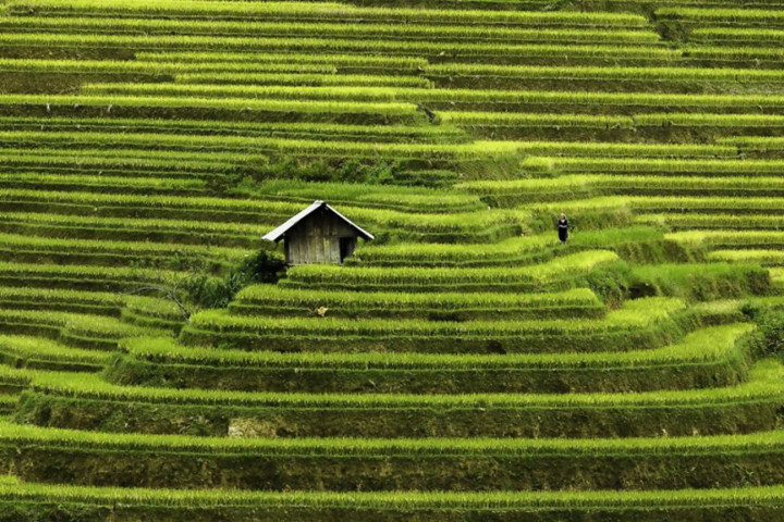 Let’s admire some of the gorgeous images of Vietnam through Réhahn’s lens:
