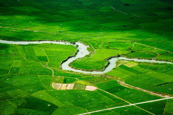 A winding river passes through the green rice fields located in the town of Bac Son.