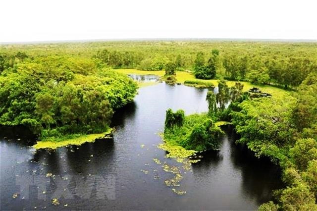 A corner of U Minh Thuong National Park in the Mekong Delta province of Kien Giang. The park has been preserving the significant bio-diversity values of a special wetland. (Photo: VNA)