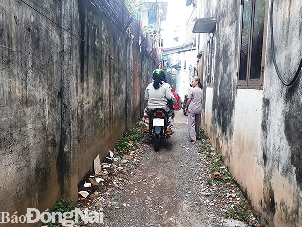 Trong khi đó tại một ngõ hẻm khác ở phường Quyết Thắng, chỉ đủ chỗ cho 1 người đi bộ và 1 xe máy