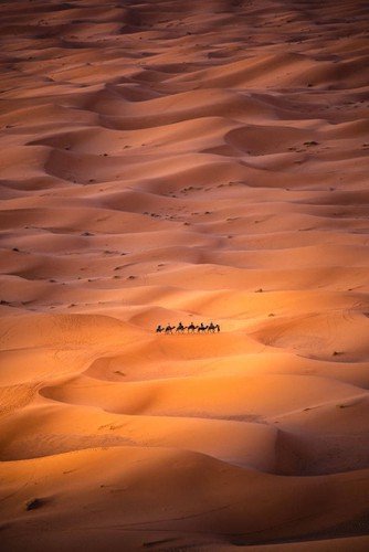 “Alone In The Desert” is captured by Carles Alonso of Spain.