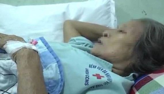 Nine people in Dong Nai Province hospitalized due to bee stings