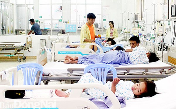 Dengue cases in Dong Nai increase