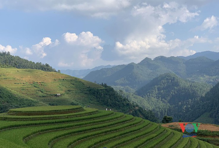 The region’s ripe terraced fields also serve to entice a large number of visitors