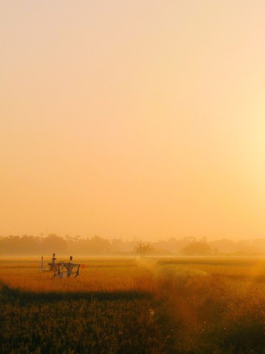 This photograph taken by Phong Le has been named among the finalists in the landscape category of the Youth competition at the Sony World Photography Awards 2020.