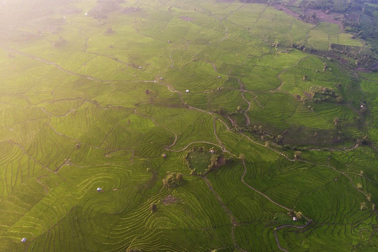 Tourists are able to enjoy the breathtaking scenery of green terraced fields as they travel along Highway No. 25 in early October. The route passes through the two picturesque communes of H Bong and Ia Pal in Chu Se district.