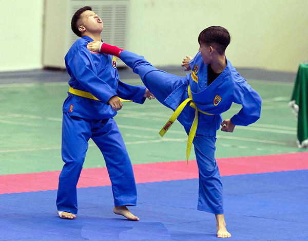 Dong Nai wins two golds at nat'l vovinam event
